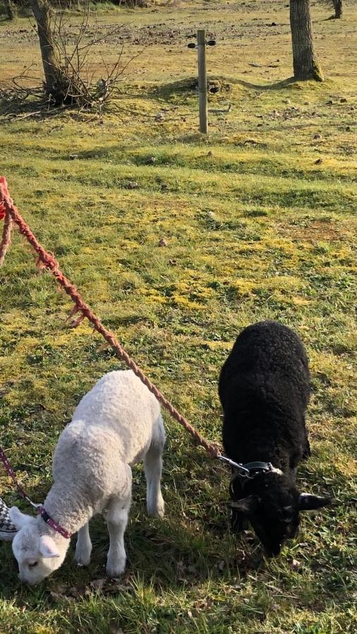Bb-Vadehavet Ferielejlighed Til 6 Personer Ved Nationalpark Vadehavet Ribe Exteriör bild