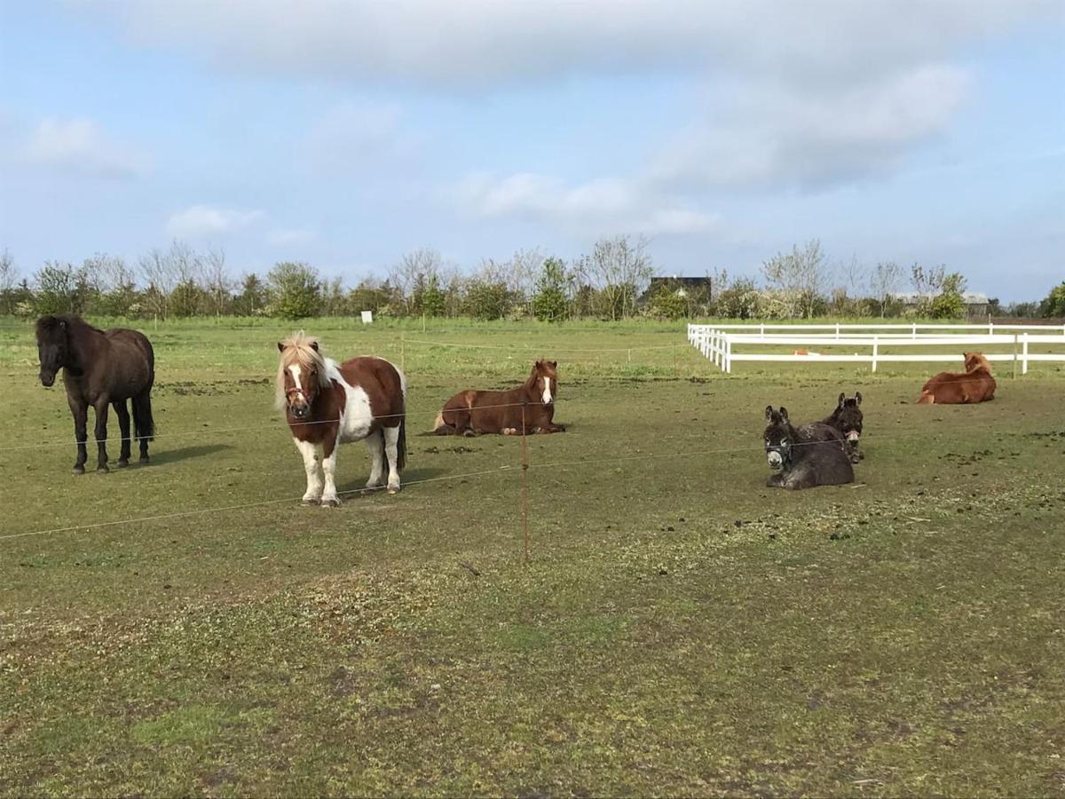Bb-Vadehavet Ferielejlighed Til 6 Personer Ved Nationalpark Vadehavet Ribe Exteriör bild