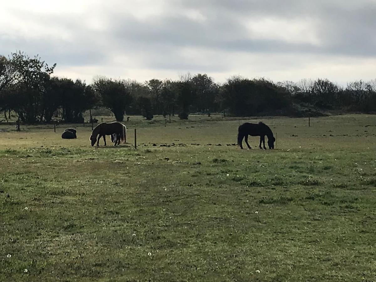 Bb-Vadehavet Ferielejlighed Til 6 Personer Ved Nationalpark Vadehavet Ribe Exteriör bild