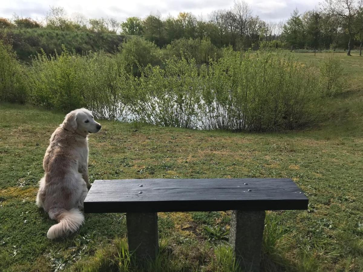 Bb-Vadehavet Ferielejlighed Til 6 Personer Ved Nationalpark Vadehavet Ribe Exteriör bild